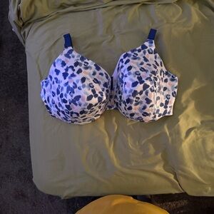 Cacique Blue and White Animal Print Bra